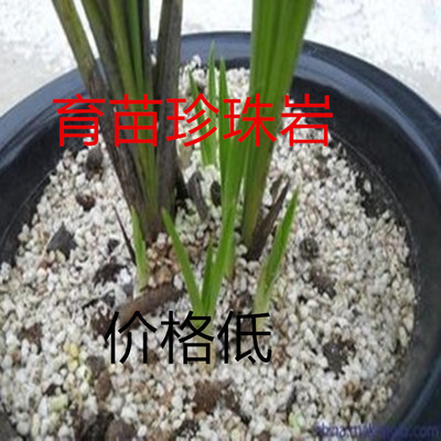 钛满大颗粒珍珠岩 洗衣粉珍珠岩
