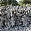 峰石假山石批发供应,场地直销,价格优惠15%